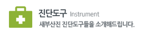 진단도구